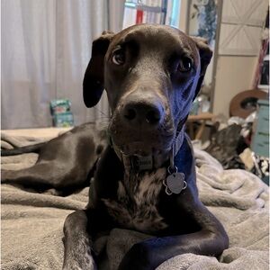 Meet your Posher, Robin